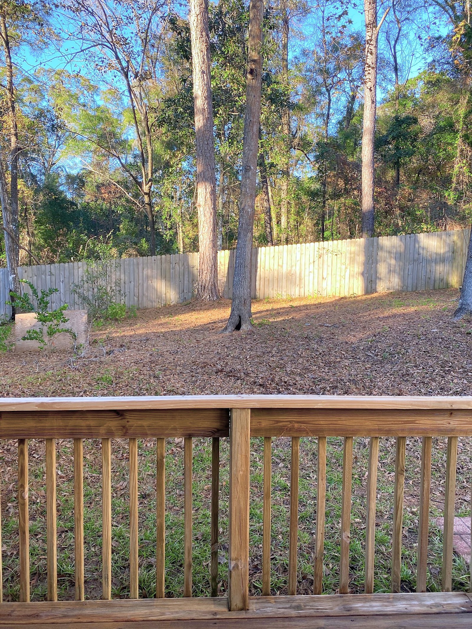 3482 Chatelaine Court — 2BR