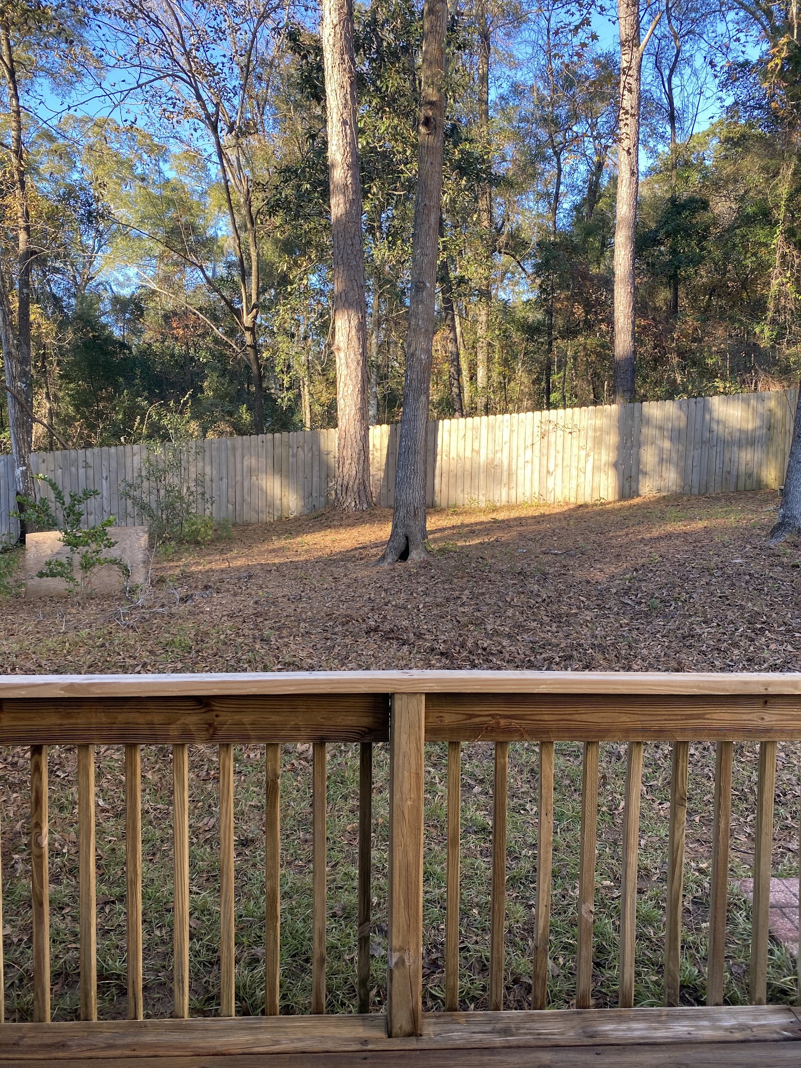 3478 Chatelaine Court — 2BR