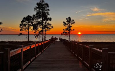 What Are We Chasing?